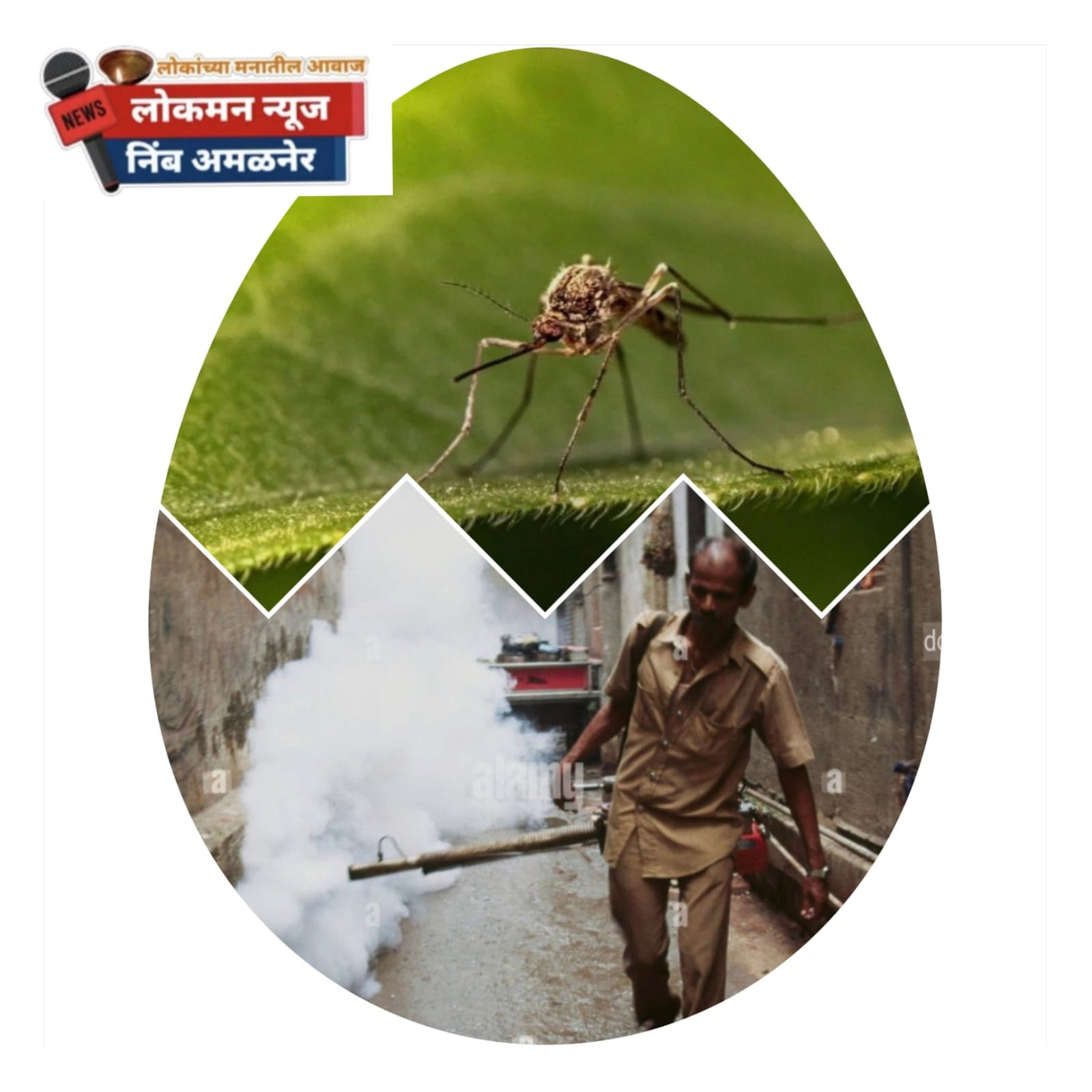 अमळनेरकरांच्या आरोग्याशी खेळ! शहरात डासांचा भयंकर त्रास, प्रशासन मात्र सुस्त.