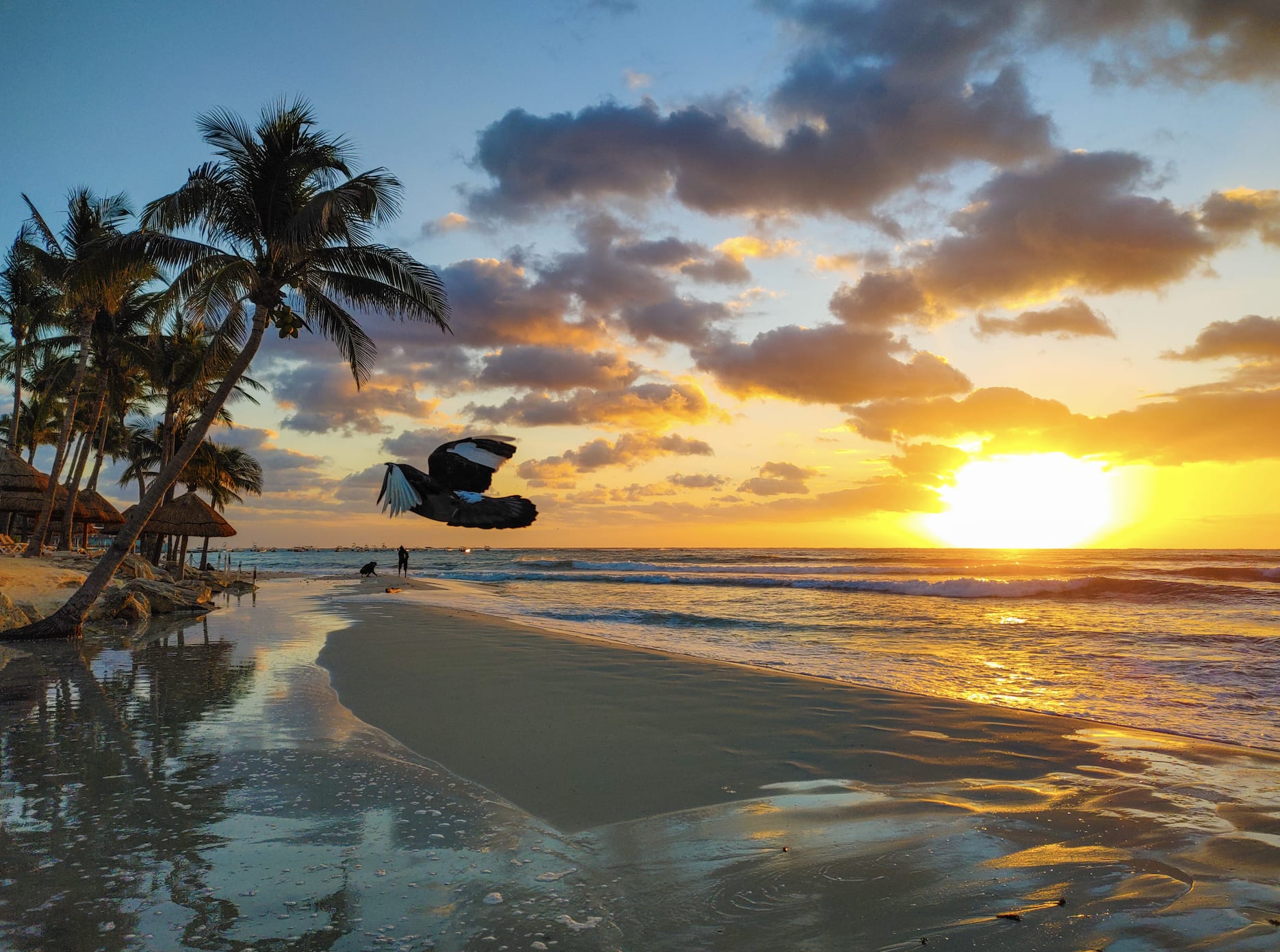 Playa Pelicanos at sunrise, Playa del Carmen