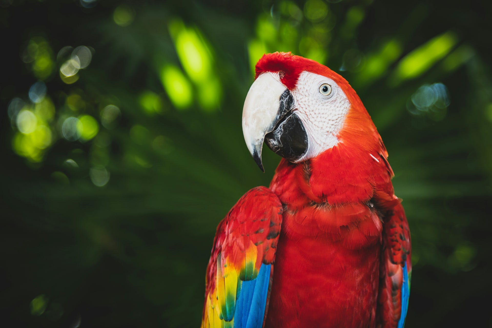 Best Tours in the Riviera Maya