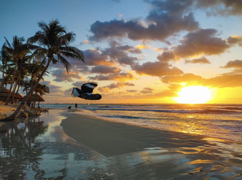 Sunrise at Playa 38 Playa del Carmen