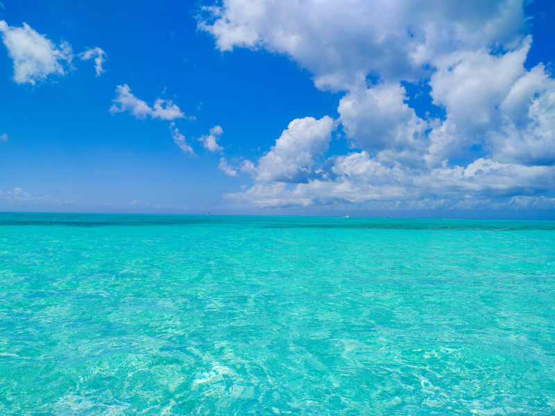 El Cielo — the crystal-clear waters of Cozumel's famous starfish lagoon