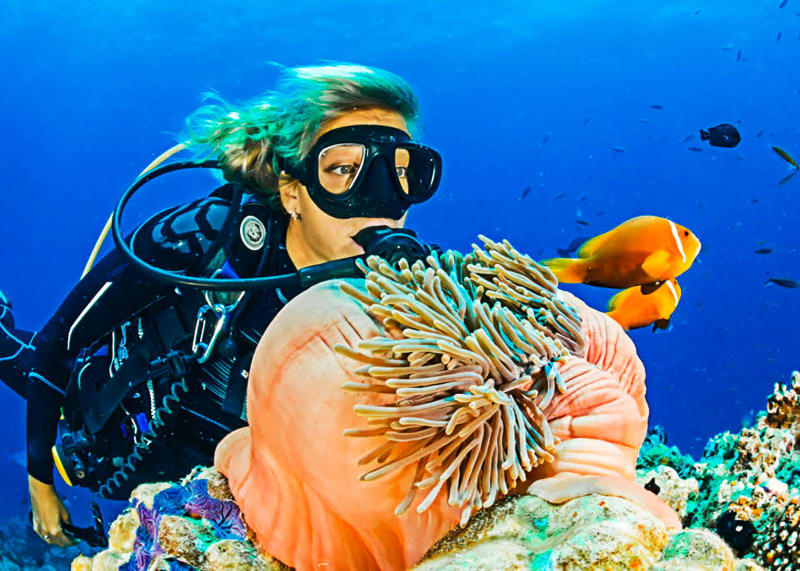 Close-up of the reef — the Mesoamerican Barrier Reef at its best