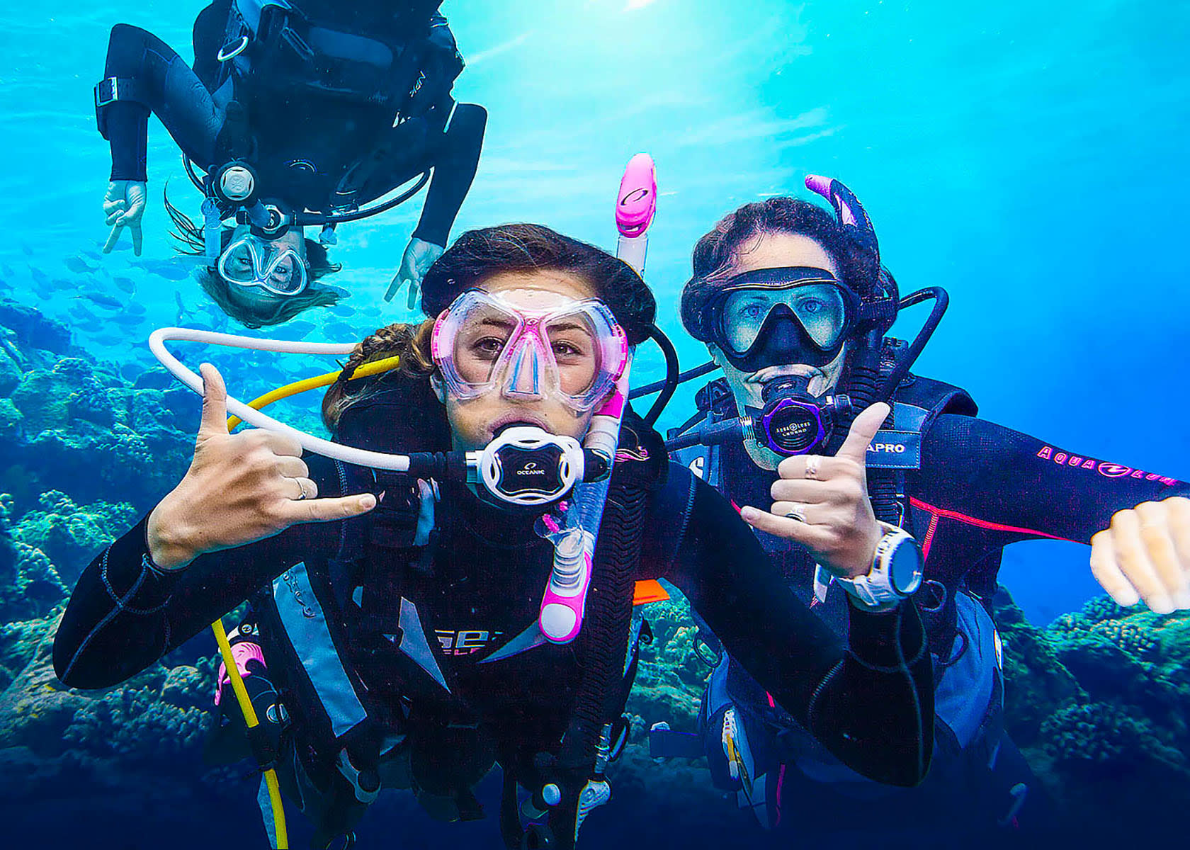 Dive in the Riviera Maya