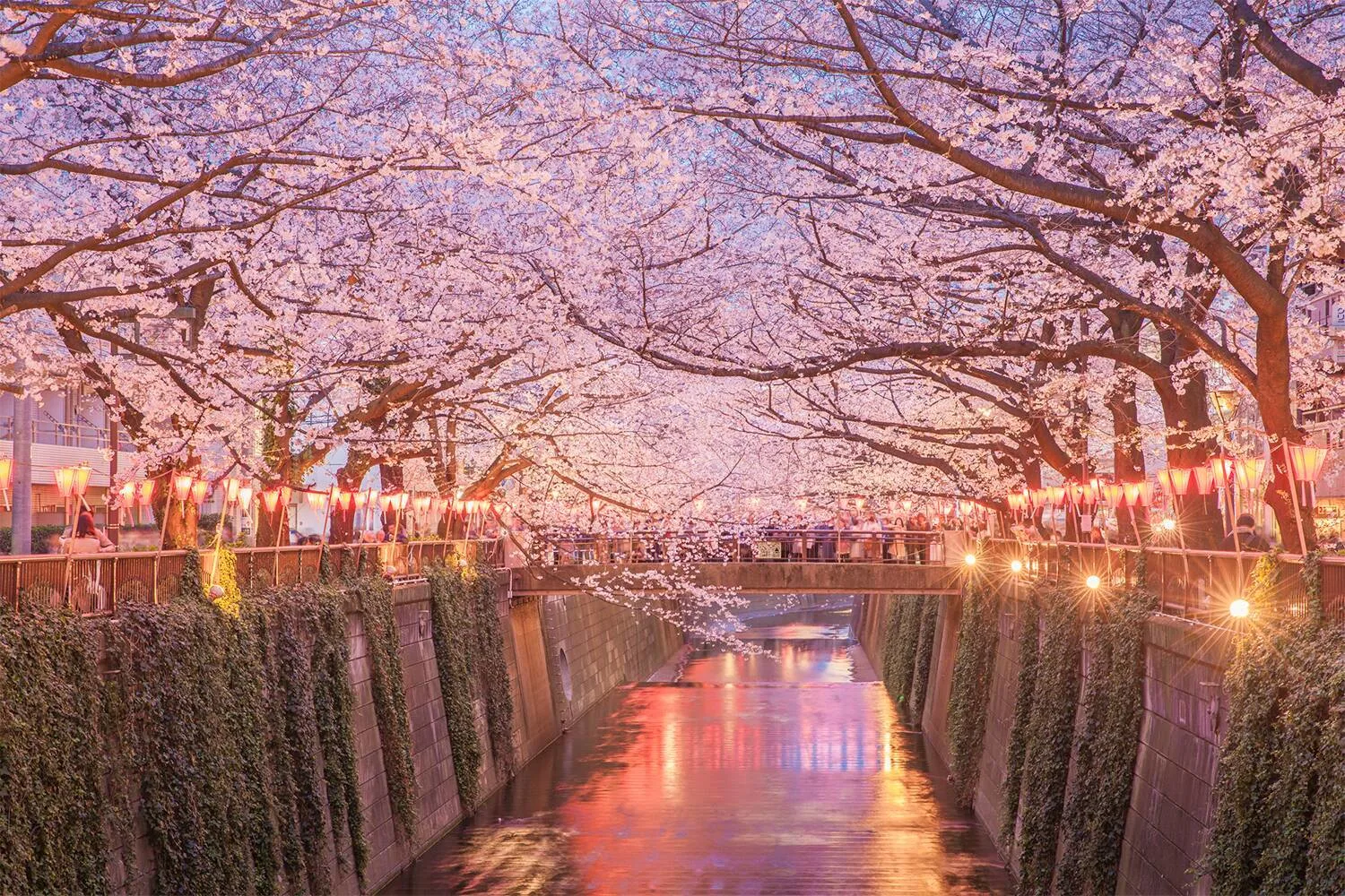 Osaka, Japón