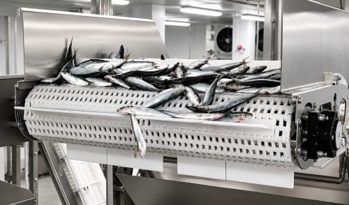 Radio frequency defrosting of frozen fish and seafood
