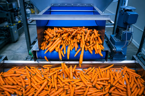 Radio frequency defrosting of frozen vegetables