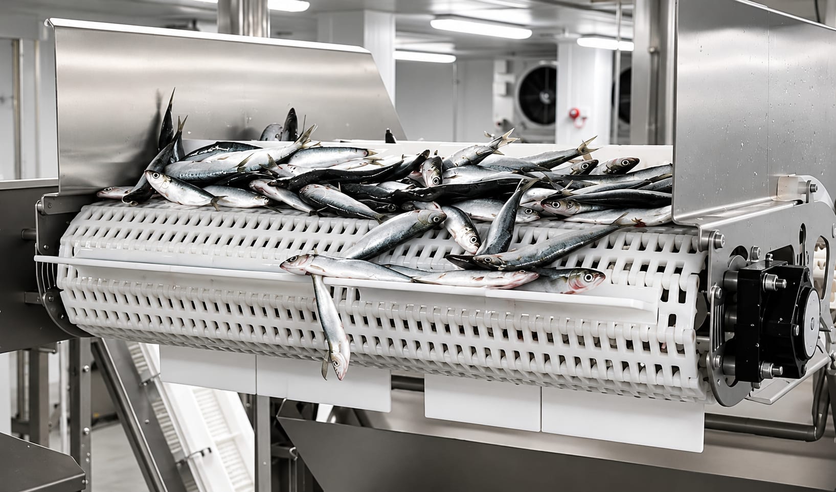 Fresh fish