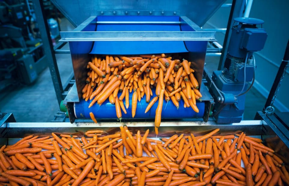 Vegetable processing