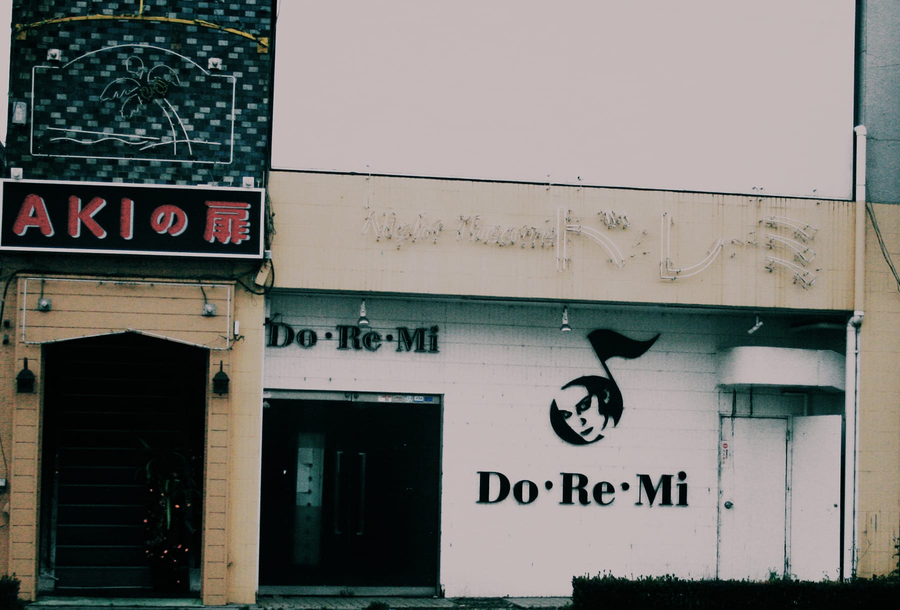 Sadako's Well