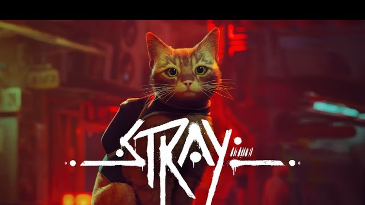 Stray