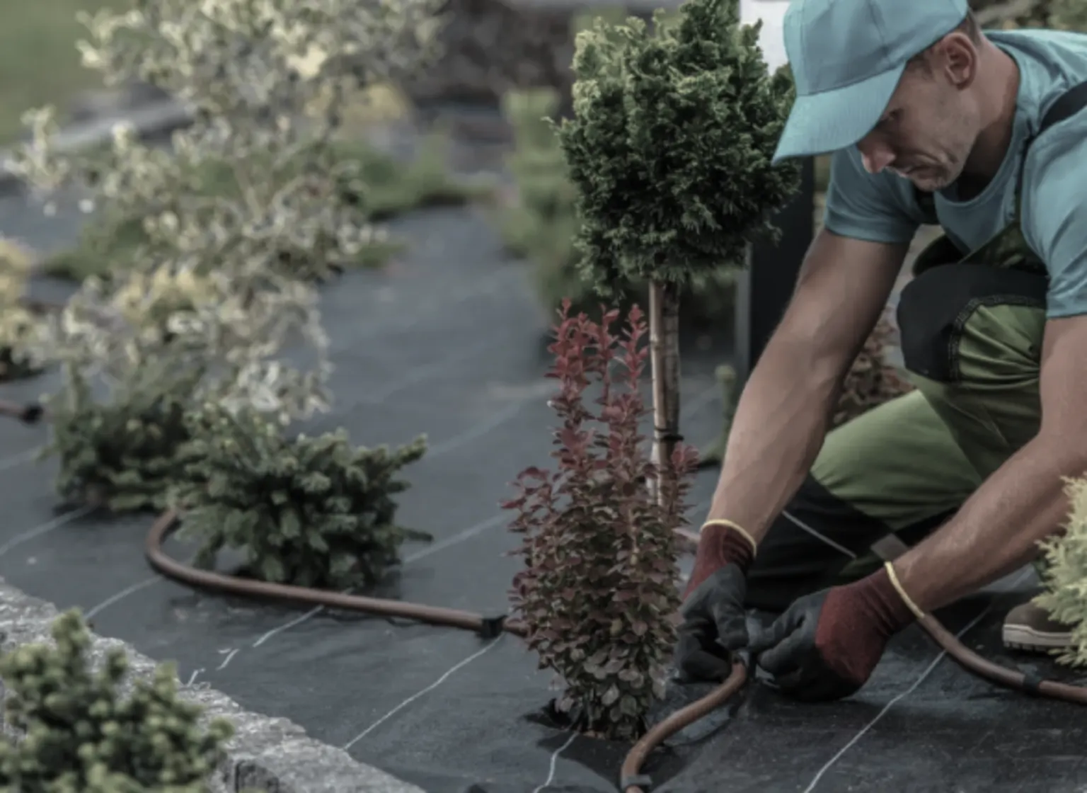 Request a Quote