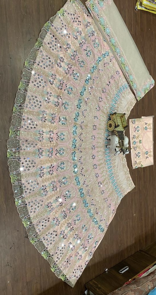 Blush Pink Mirror Embroidered Butterfly Net Lehenga Set with Sequin Work — photo 8
