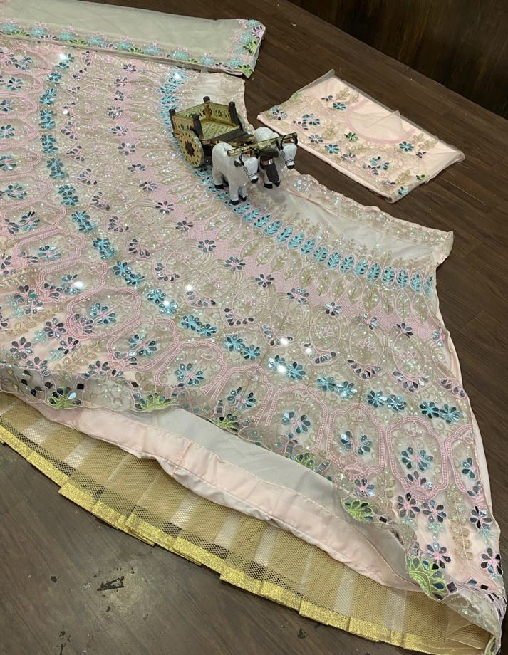 Blush Pink Mirror Embroidered Butterfly Net Lehenga Set with Sequin Work — photo 9