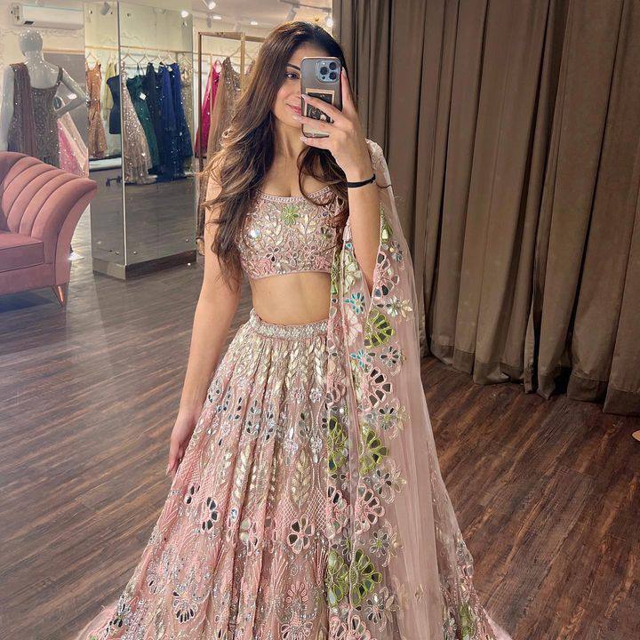 Blush Pink Mirror Embroidered Butterfly Net Lehenga Set with Sequin Work