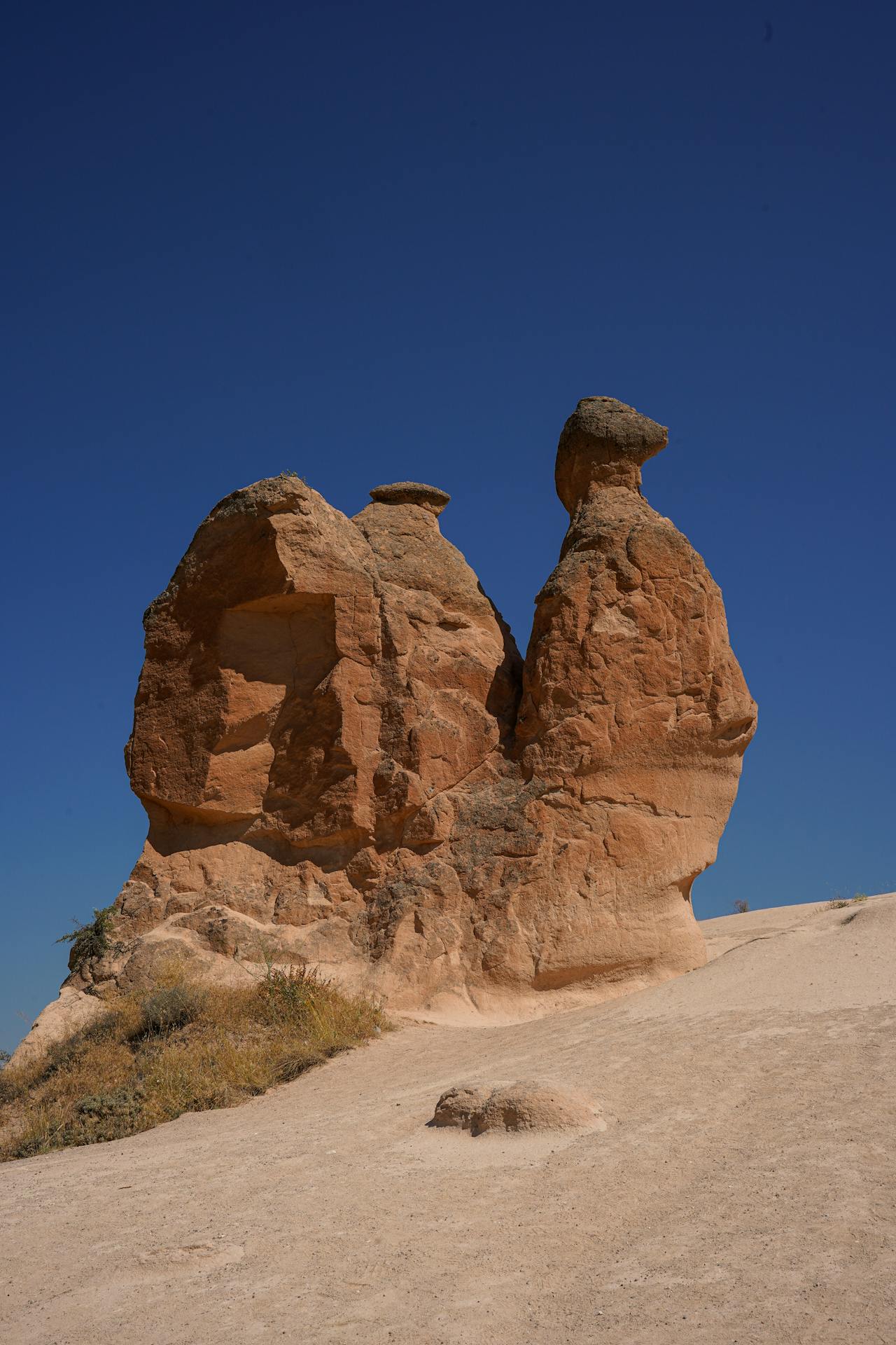 Image1