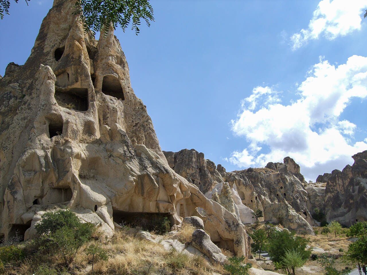 Image3