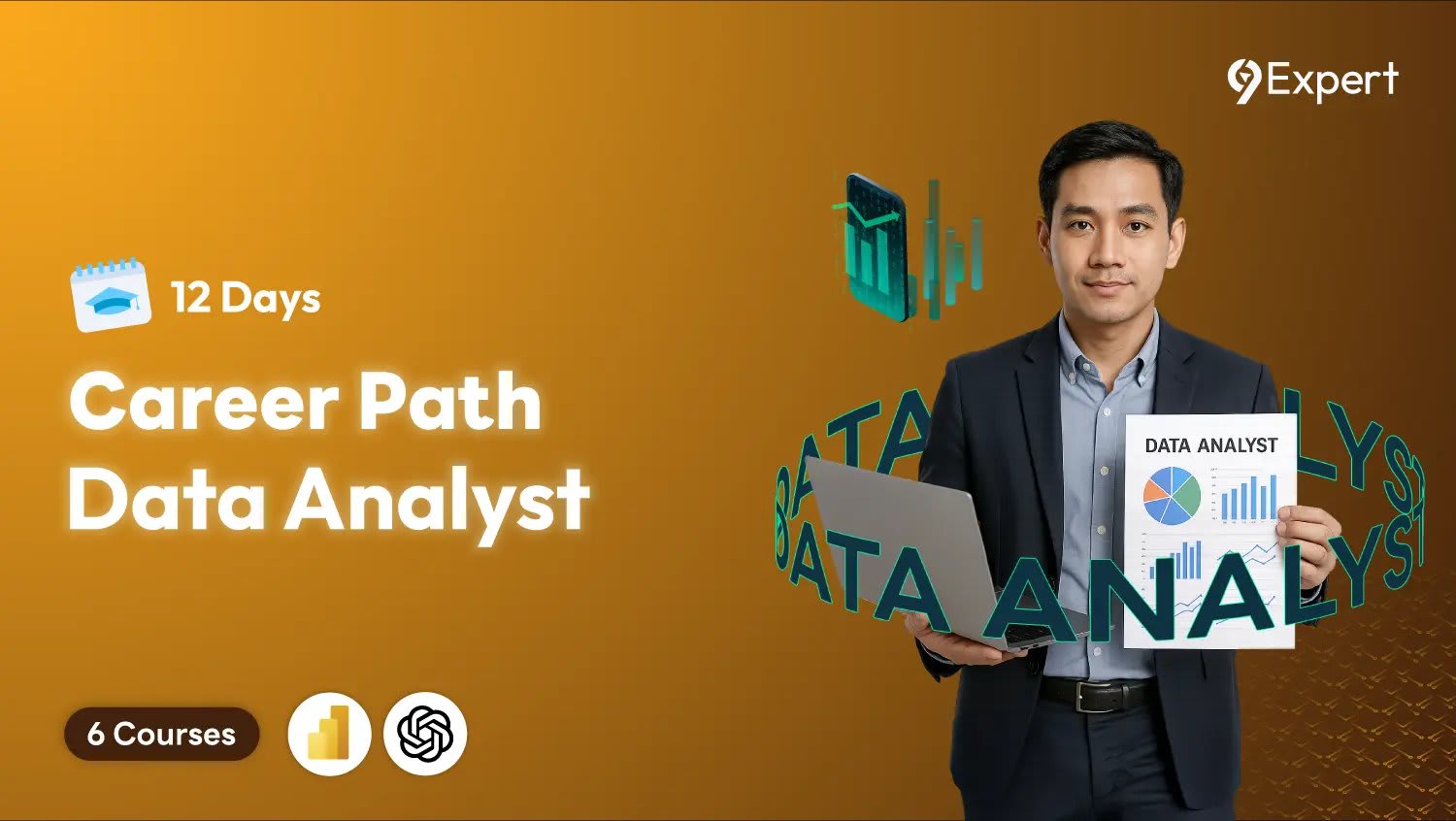 Data Analyst