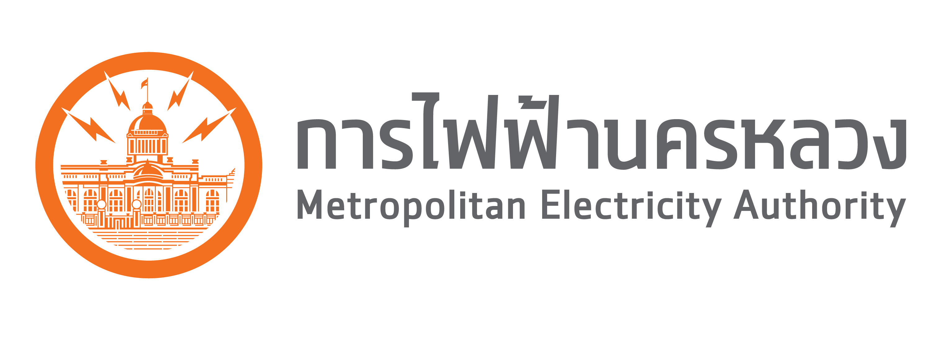 METROPOLITAN ELECTRICITY AUTHORITY