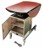 Food Warmer Trolley with SS 2 Layer Electric Hot Box Cabinet — view 4