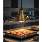 Electric Food Lamp Warmer - V Shaped Hanging Model — view 4