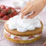 Plastic Cake Smoother/Polisher — view 7