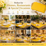 Premium Leather Type Table Mats with Golden Border - (Quantity: 6pcs) — view 3
