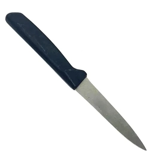 Plastic Handle Kitchen Carving Knife 232