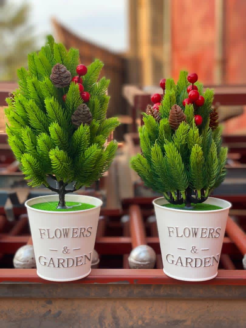 Pot de fleurs