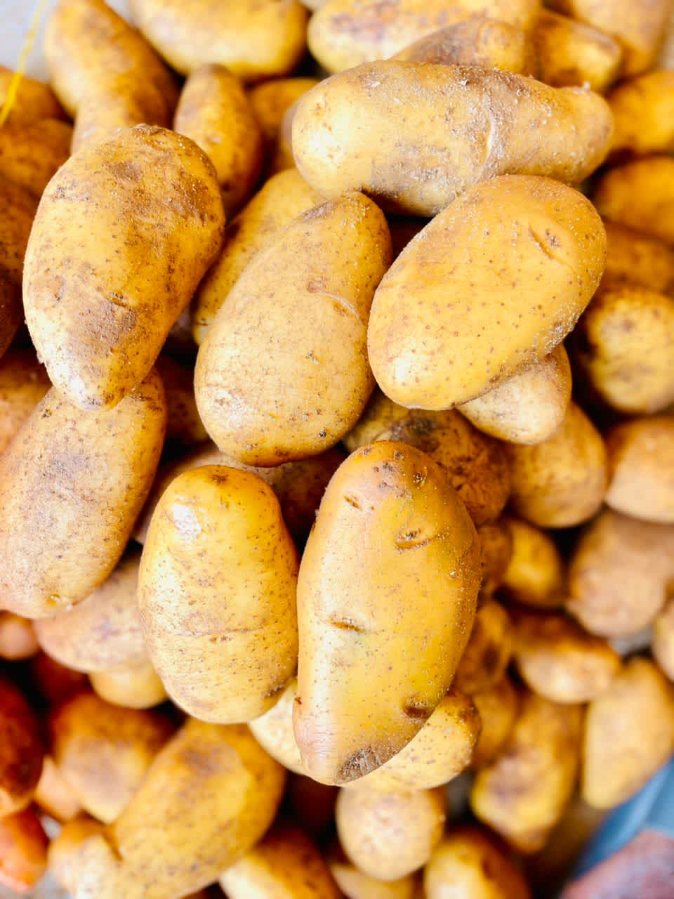 Pommes de terre 🥔 oignons 🧅 et ail 🧄