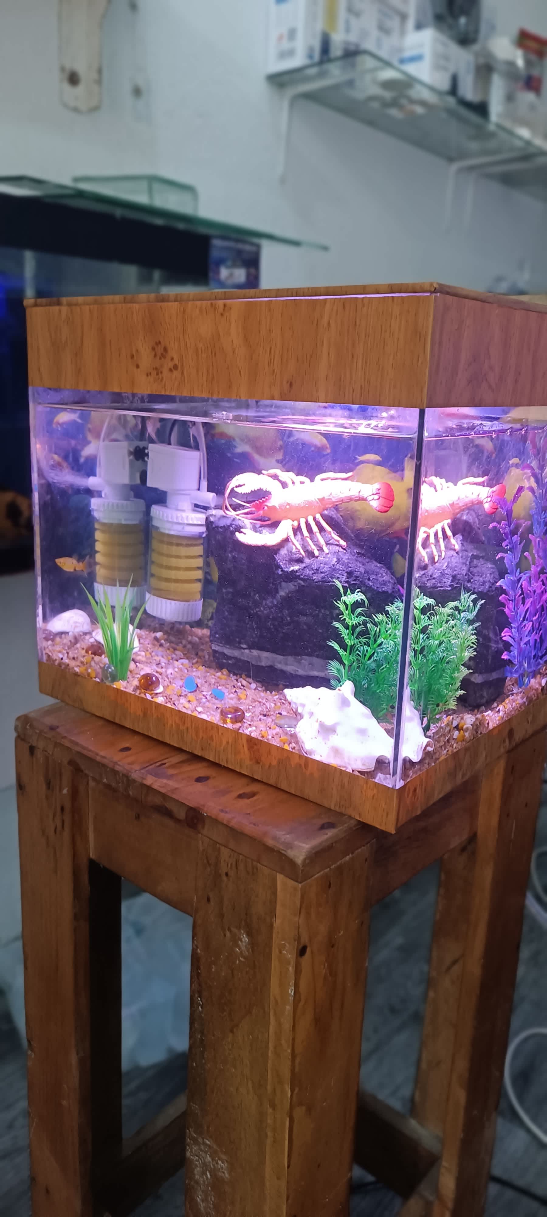 Aquarium