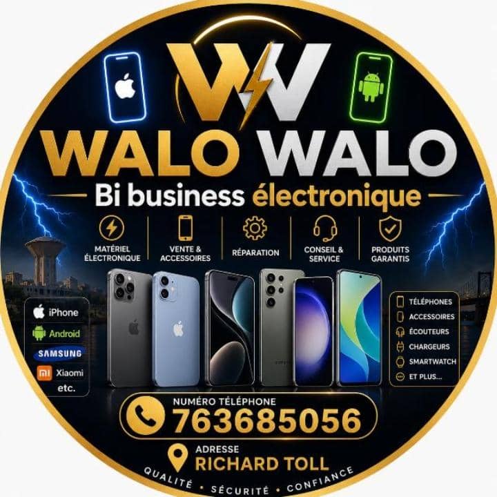 Walo Walo Bi business électronique