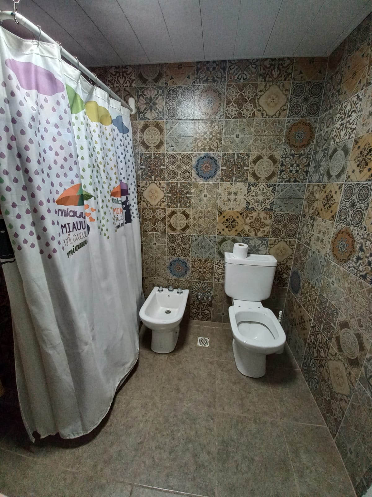Miniatura 10
