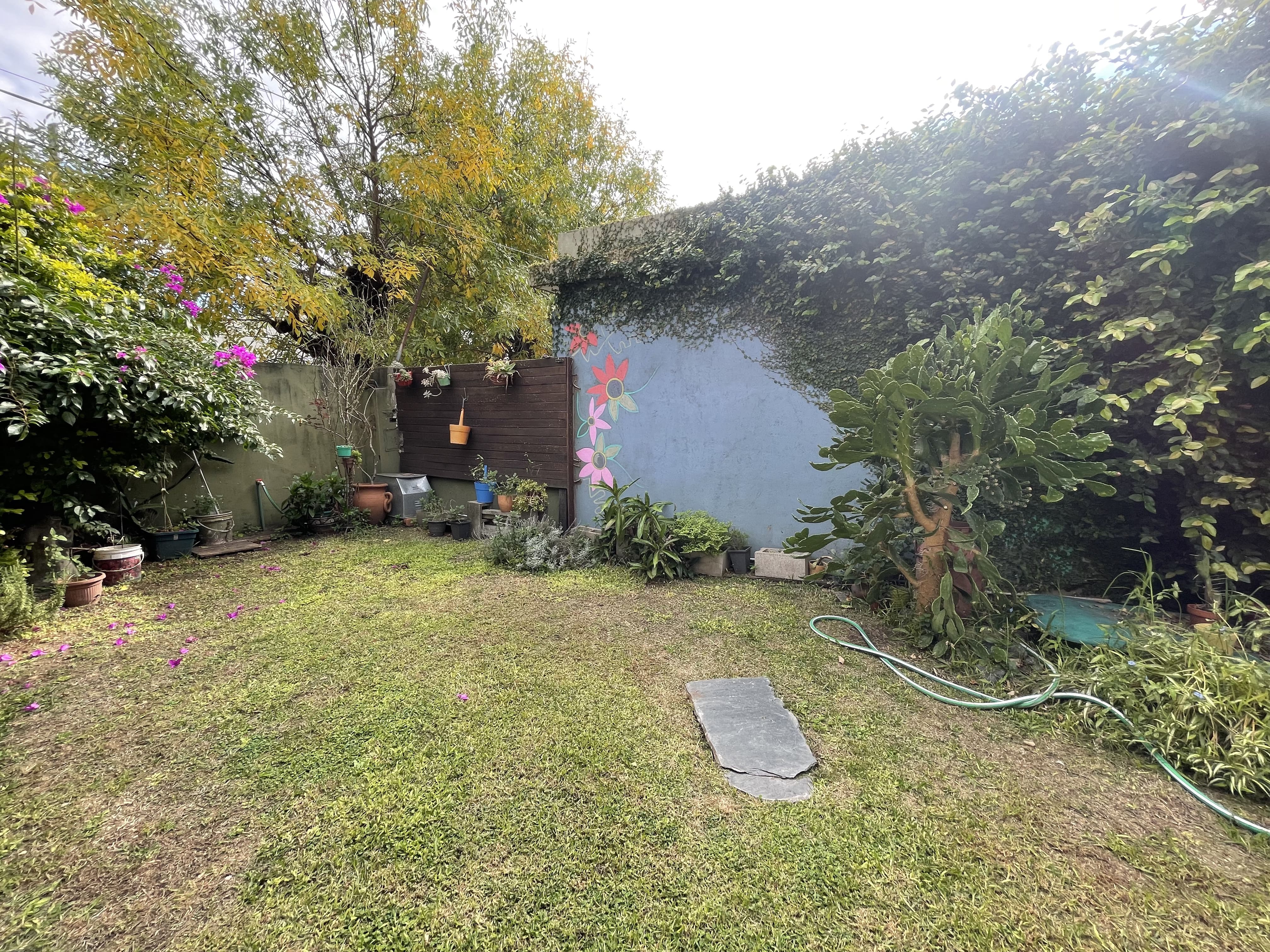Miniatura 10