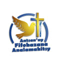 Logo de AFA