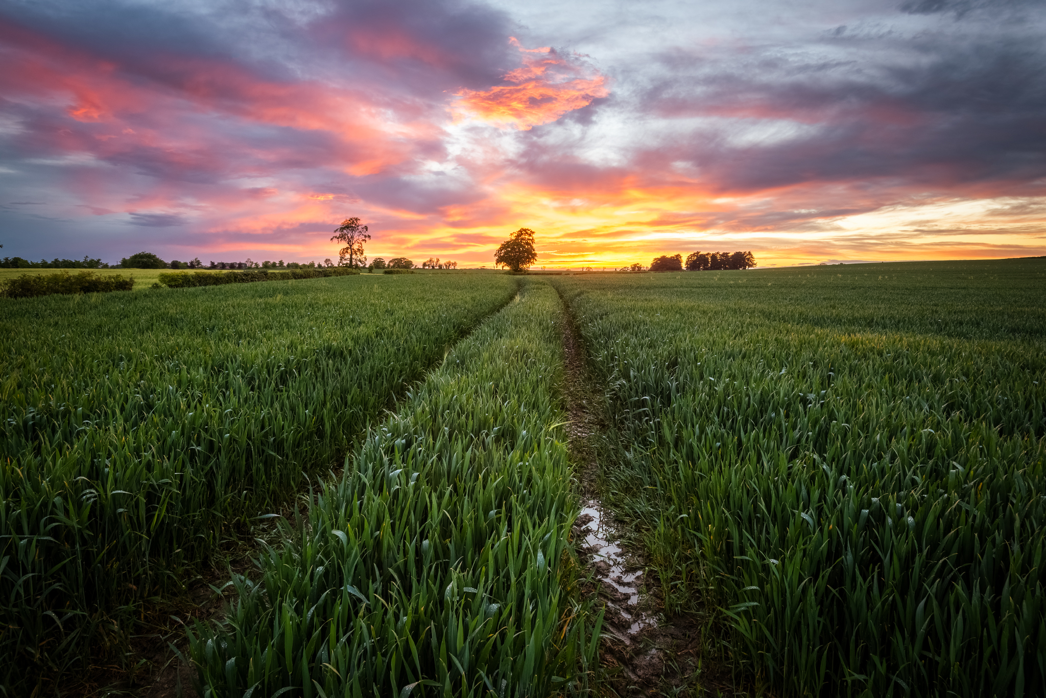 Featured image for post Shooting countryside sunset