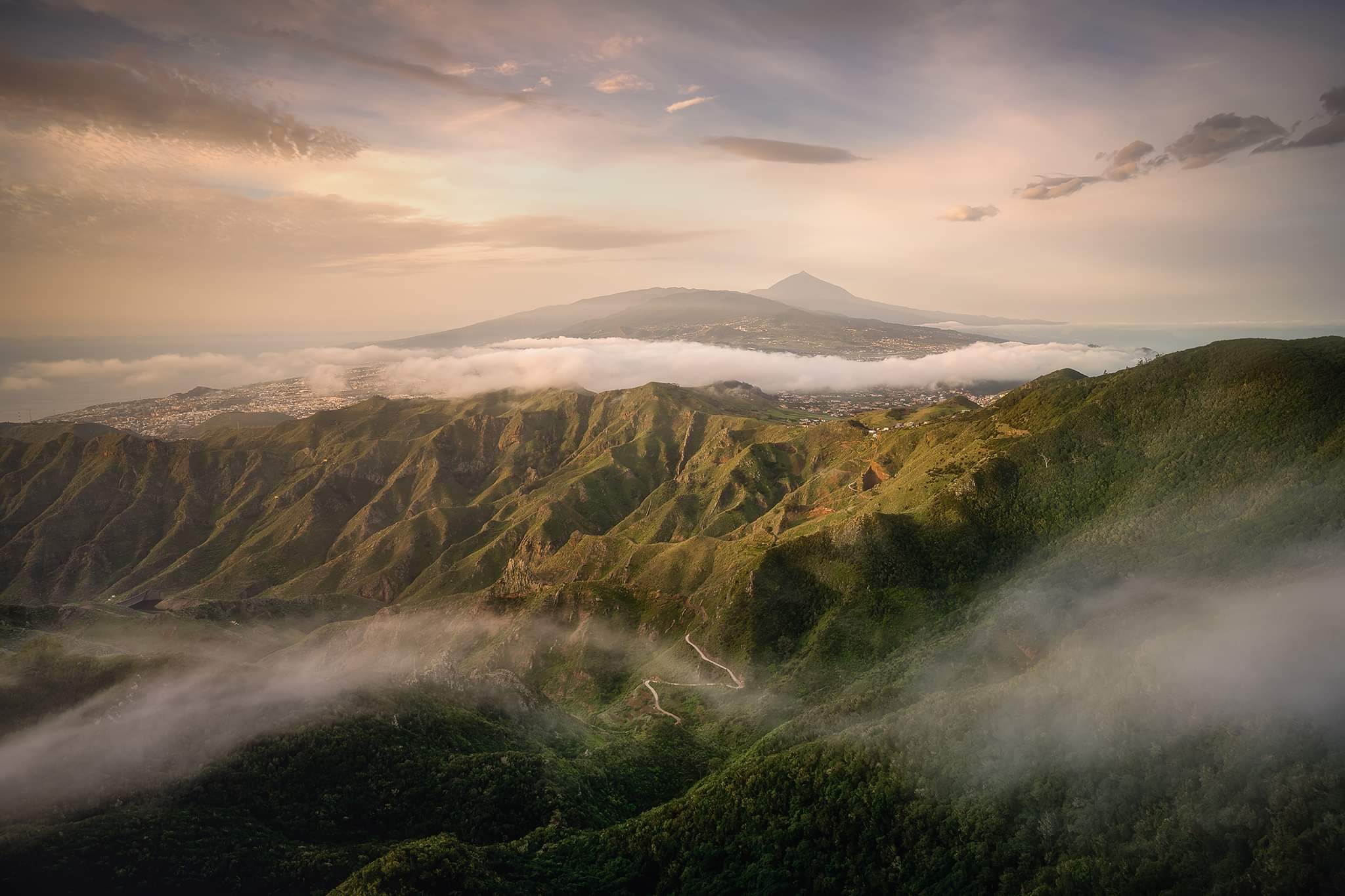 Feature image for post Anaga, Tenerife