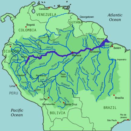 Amazon Flow Map Amazon River Facts - Map