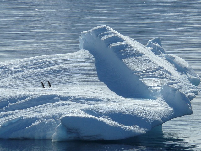 Souther Ocean