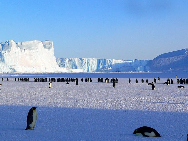 Antartica
