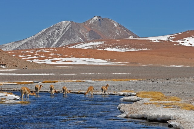 Chile-Patagonia