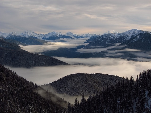 Washington State Facts