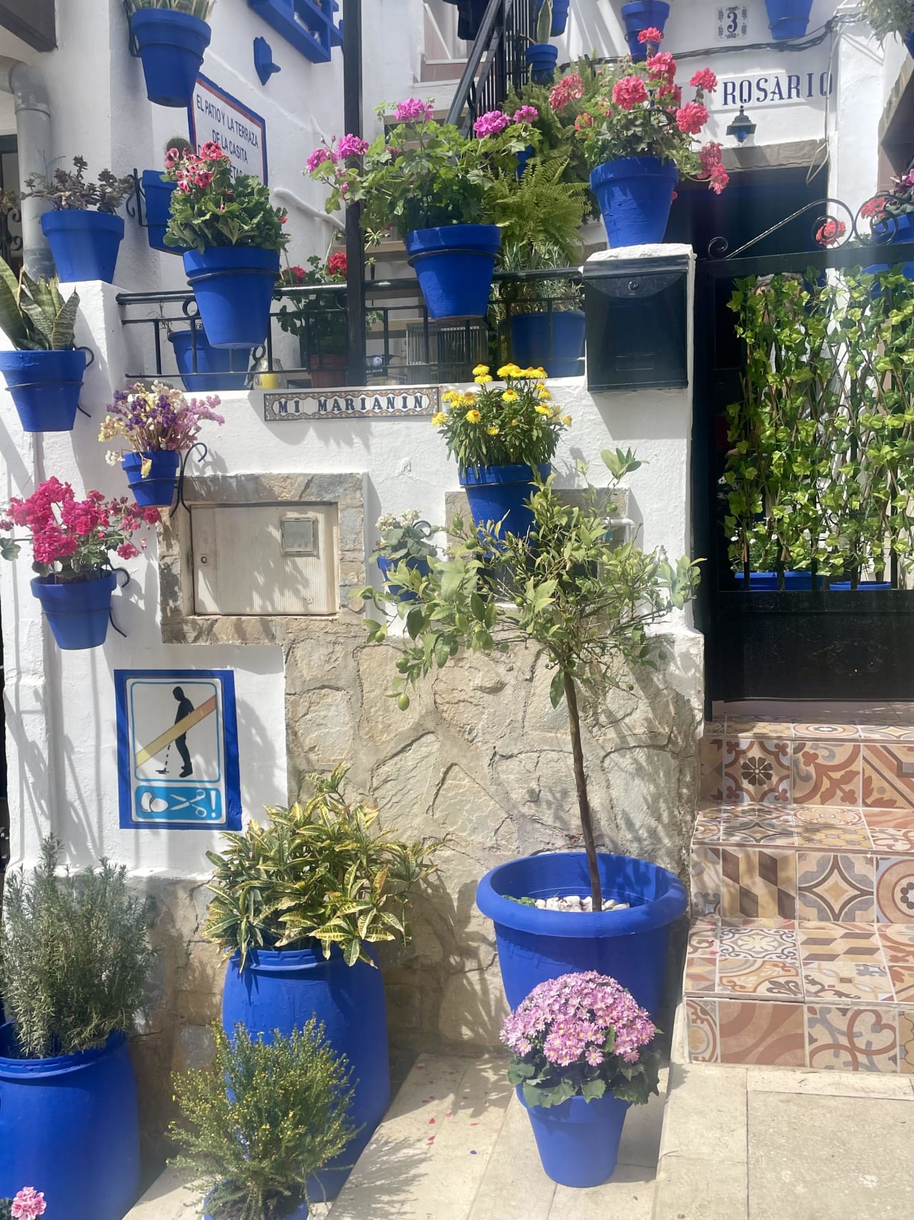 Alicante