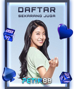 PETIR88
