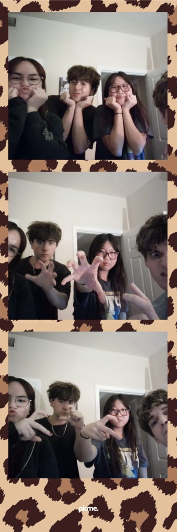 picme. photostrip