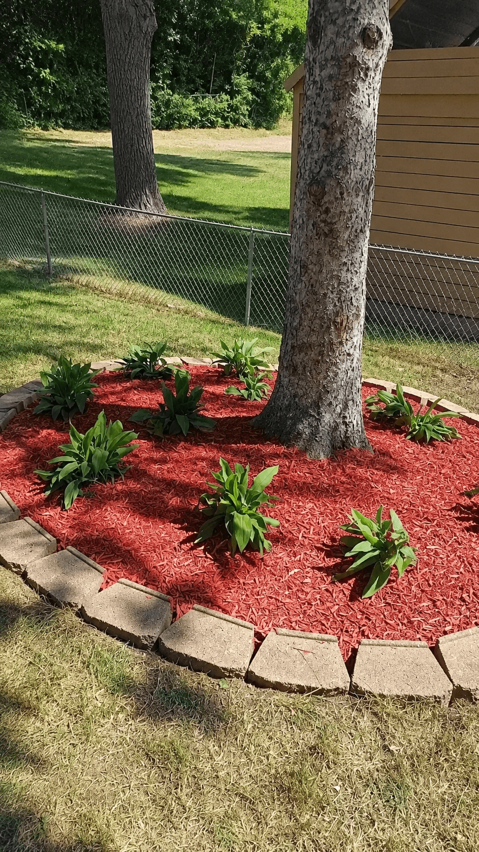 Tree Bed Landscaping
