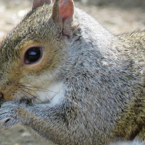 Samanyolu Galaksisi'nin büyüleyici bir görüntüsü, evrenin sonsuzluğunu ve dünya dışı yaşam arayışını temsil ediyor.