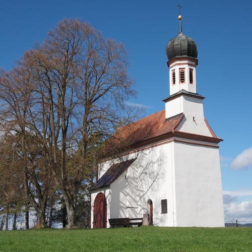 Antik Roma'da kullanılan bir mor renkli toga giyen bir imparator portresi.