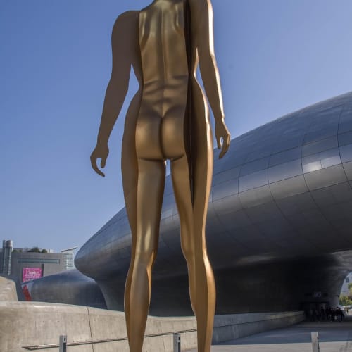 İnsan vücudunun anatomik yapısını gösteren bir görsel