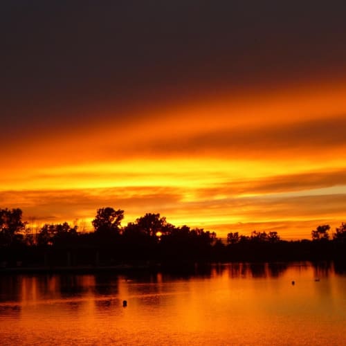 Gizemli bir gölgeli figür, komplo teorileri ve gizli örgütlerin gizemli dünyasını temsil ediyor.