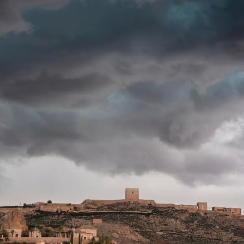 Ormanlık bir alanda güneş ışığı altında yeşeren bitkiler ve kuşlar, doğanın uyumunu ve dengesini temsil ediyor.